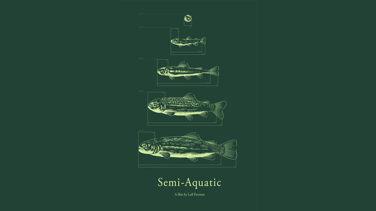 Semi-Aquatic video thumbnail