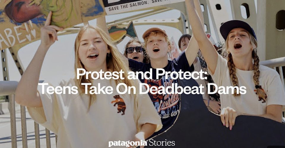 Patagonia: Protest and Protect thumbnail