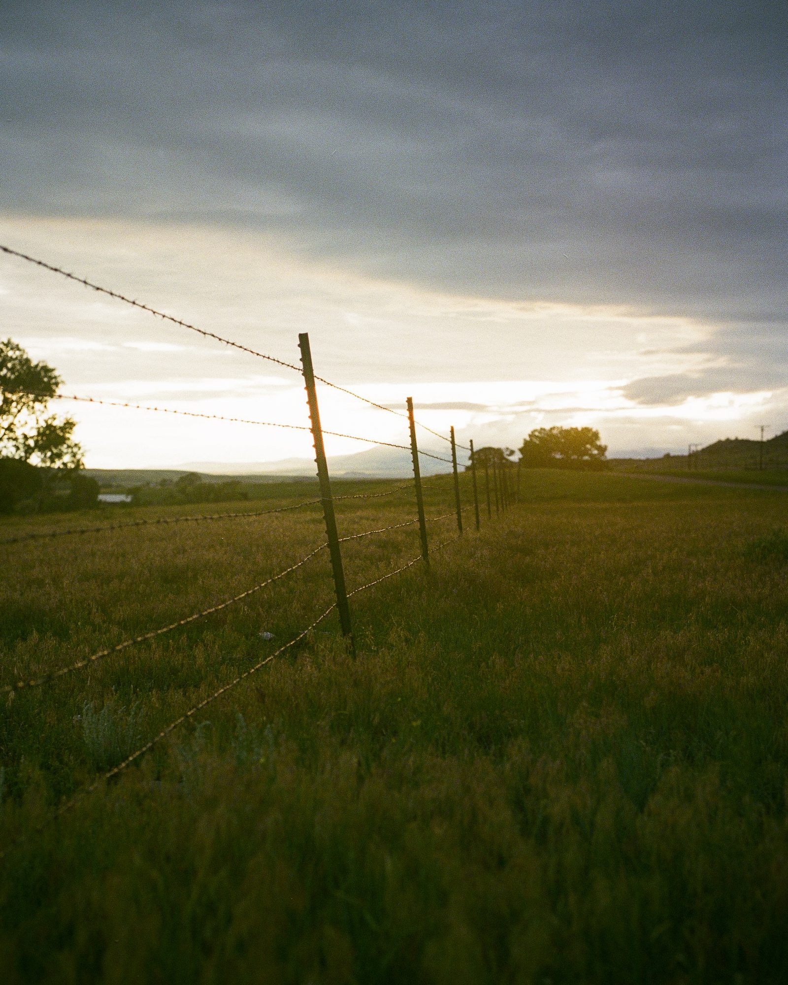 Barbed wire fence at sunset