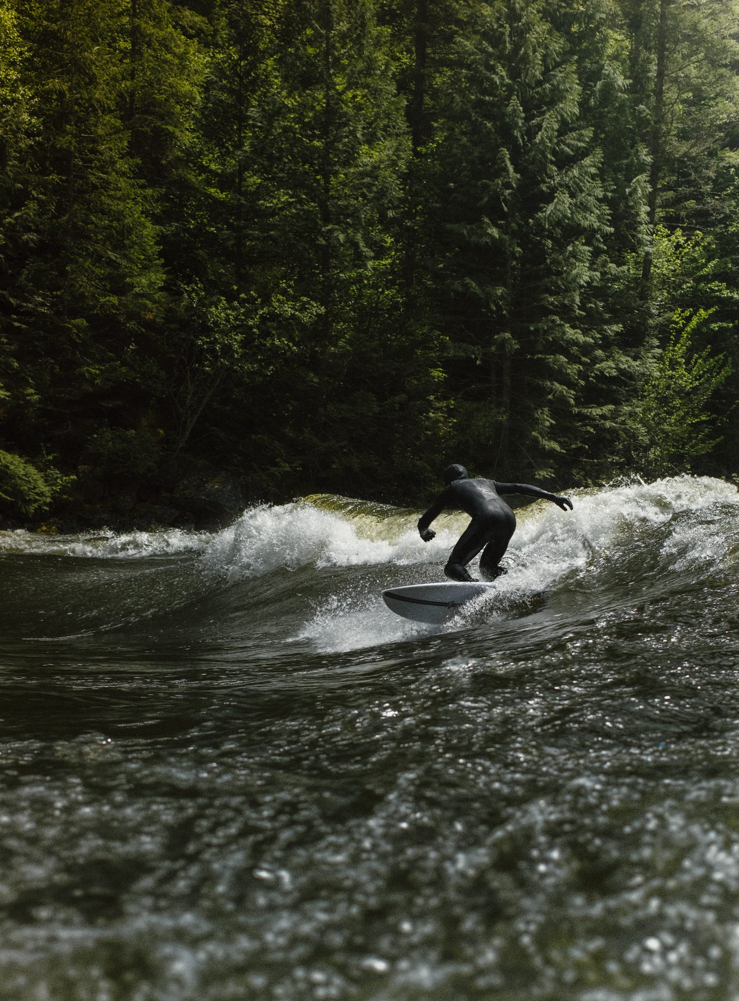 Surfer riding a river wave below a forest
