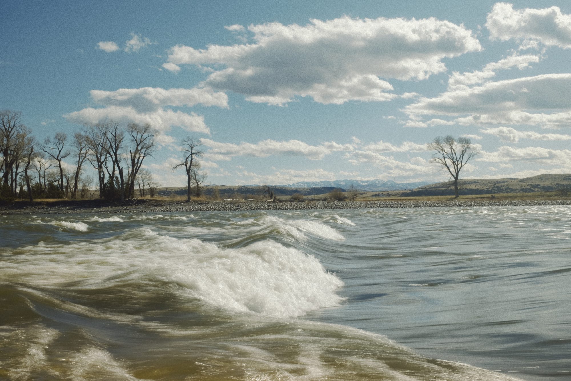 River wave under a blue sky with cottonwoods